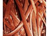 2024 99.99% Copper Scraps pure millbery Copper Wire Scrap /Cooper Ingot /Scrap Copper Pric - фото 1