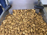 Almond nuts - photo 2