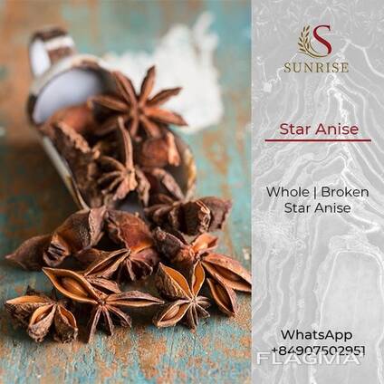 Anis Star from Vietnam