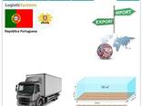Автотранспортные грузоперевозки из Португалии в Португалию с Logistic Systems - фото 7