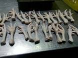 Chicken Feet and chicken paws and whole halal chicken at the best prices with prompt shipp