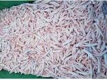 Chicken Feet and chicken paws and whole halal chicken at the best prices with prompt shipp - фото 6