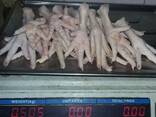 Chicken Feet and chicken paws and whole halal chicken at the best prices with prompt shipp - фото 7