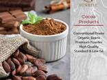 Cocoa Powder Cocoa Beans - фото 1