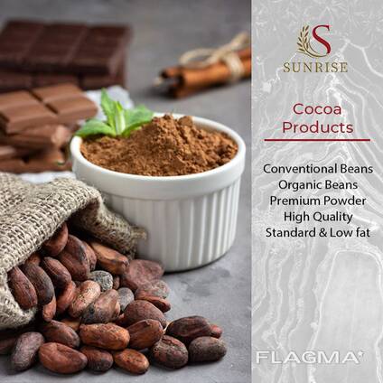 Cocoa Powder Cocoa Beans