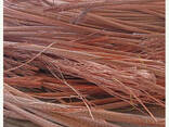 Competitive price copper scrap manufacturer 99.9% / copper wire scrap - фото 1