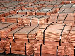 Copper Cathode