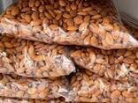 Dried Almond Nuts - photo 2