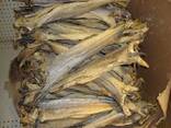 High Grade Dried Stock Fish Dried Stockfish / Stock fish Cod from Norway ready for exports - фото 1