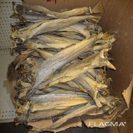 High Grade Dried Stock Fish Dried Stockfish / Stock fish Cod from Norway ready for exports