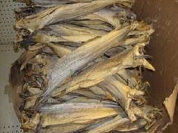 High Grade Dried Stock Fish Dried Stockfish / Stock fish Cod from Norway ready for exports