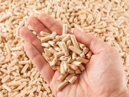 Enplus A1 Wood pellets