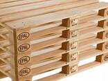 Euro Pallet - фото 1