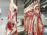 Export of meat - photo 5