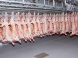 Export of meat - photo 4