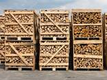 Top Quality firewood for sale (beech wood and oak wood) - фото 1