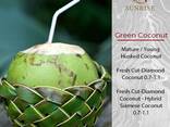 Fresh Coconut from Vietnam - фото 1