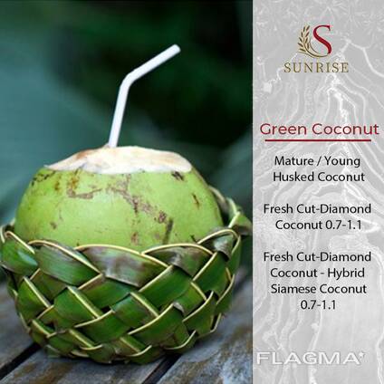 Fresh Coconut from Vietnam