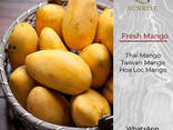 Fresh Mango from Vietnam - photo 1