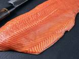 Fresh Seafood / Frozen Salmon Fish - Salmon From Norway