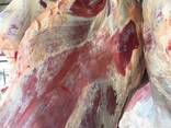 Frozen meat - фото 1