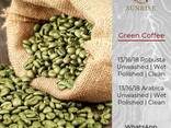 Green Coffee Beans Robusta and Arabica from Vietnam - фото 1