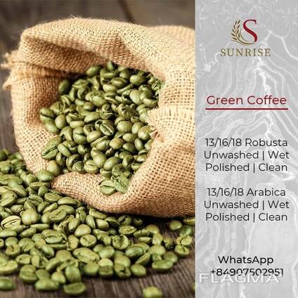Green Coffee Beans Robusta and Arabica from Vietnam