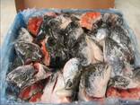 Order Frozen Atlantic Salmon Head For Sale / Frozen Whole Salmon Fish / Frozen Salmon Bell - фото 1
