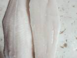 Pangasius fillets and whole frozen panga fish - фото 2