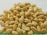 Peanuts from Vietnam - photo 2