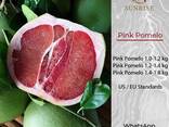 Pink Pomelo from Vietnam - фото 1
