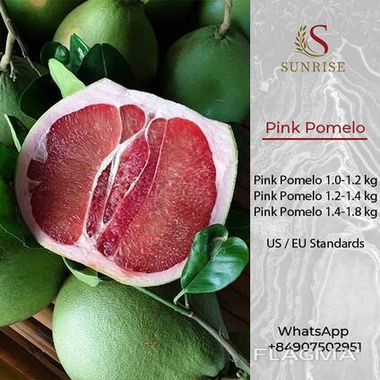 Pink Pomelo from Vietnam