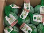 Pink Pomelo from Vietnam - фото 5