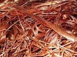 Pure millbery copper /, copper wire scrap 99.99% for sale - фото 1