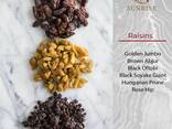 Raisins from Middle East - фото 1