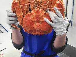 Red King Crab