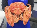 Red King Crab - photo 3