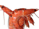 Red shrimp - фото 1