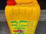Sunflower Oil - фото 6