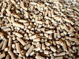 Wood pellet with high Calorific value - photo 1