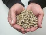 Wood Pellets, EN Plus-A1, EN Plus-A2 (6-8mm) Pine, Beech wood pellets of 15kg For Heating - photo 1